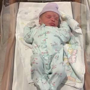 Meet your Posher, Steven